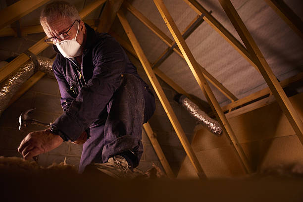 Best Cellulose Insulation  in Sheffield, OH